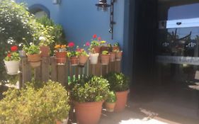 Hotel Patilla Ciudad de Requena